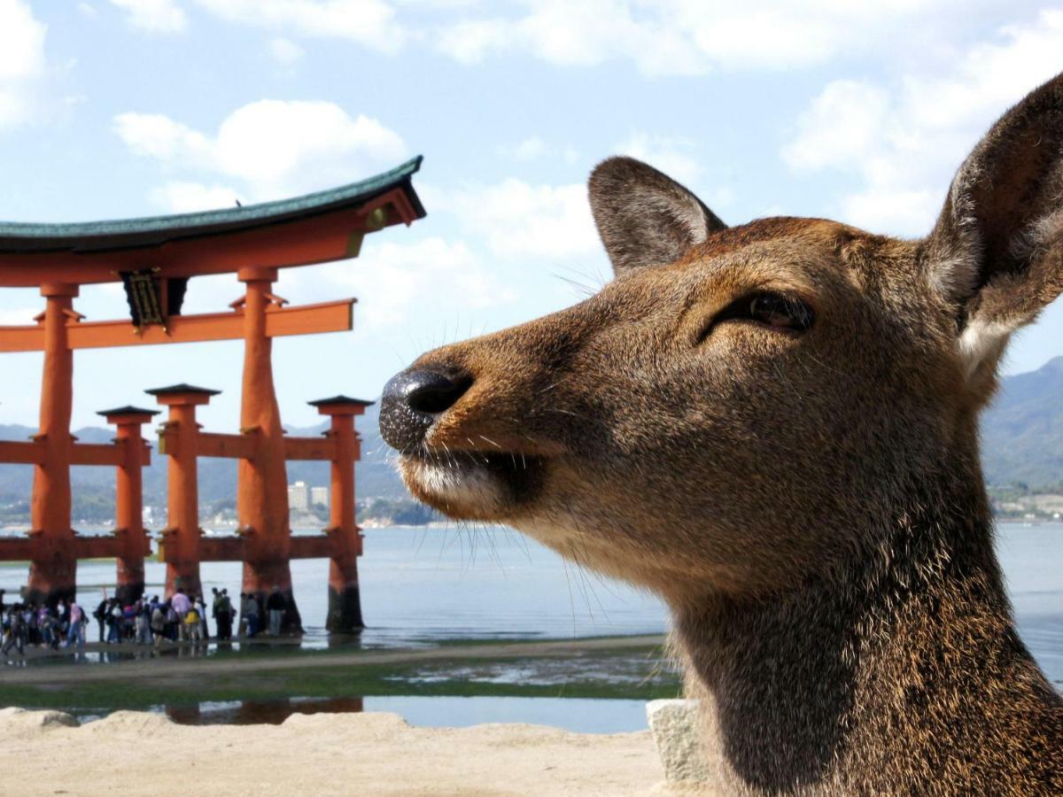 Global Resort Miyajima View Hacukaicsi Kültér fotó
